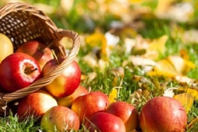Яблучний спас: вартість яблук в регіонах України