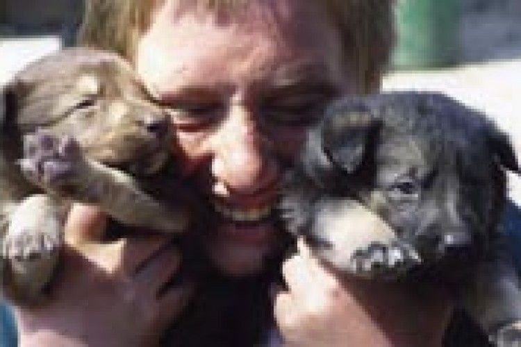 БРАТИ НАШІ МЕНШІ: пацієнтами ветеринарної клініки є не тільки коти й собаки