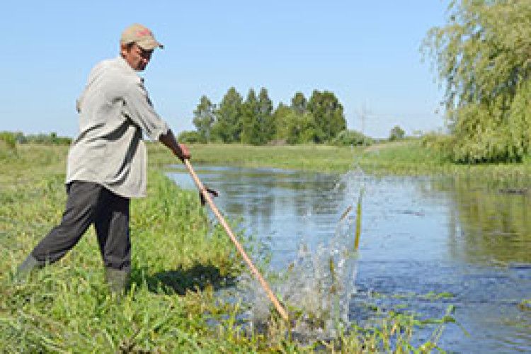 ДО ВИТОКІВ ТРЬОХ РІК