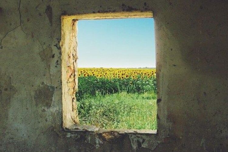 Про Штайнмаєра вирішили висловитися і луцькі депутати. Скликають позачергову сесію 