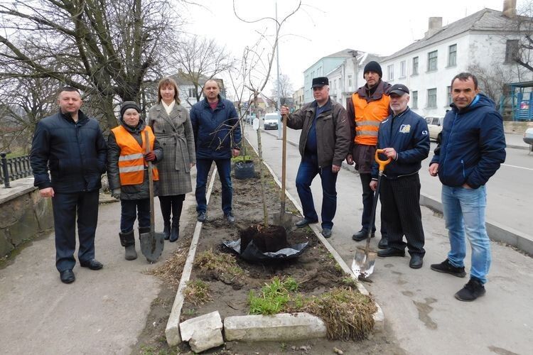 У Горохові на честь Великодня розцвіли сакури