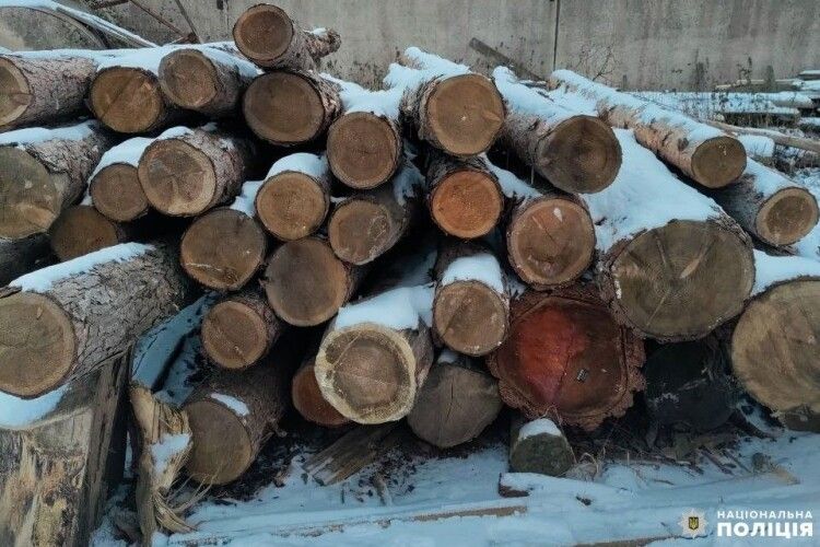 На Рівненщині поліцейські вилучили незаконну лісопродукцію
