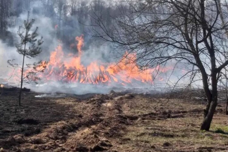 Поблизу сміттєзвалища знайшли тіло дитини