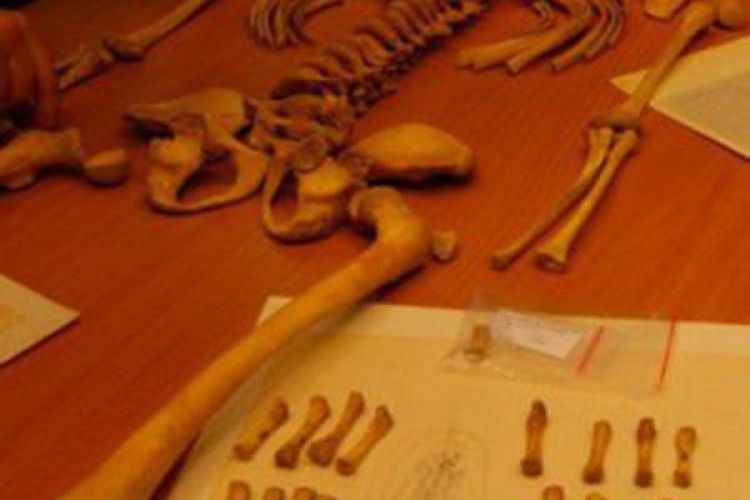 Археологи виявили скелет дитини з черепом пташки в роті