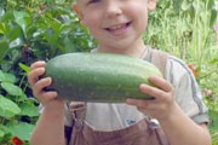 ІЗ ЧИТАЦЬКИХ КОНВЕРТІВ:  рекорди Волині