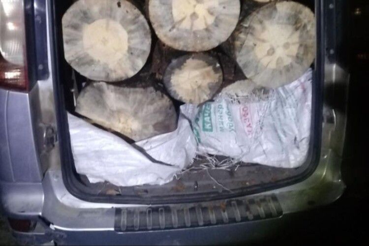 Дільничий поліцейський «спіймав» Опеля з незаконною деревиною