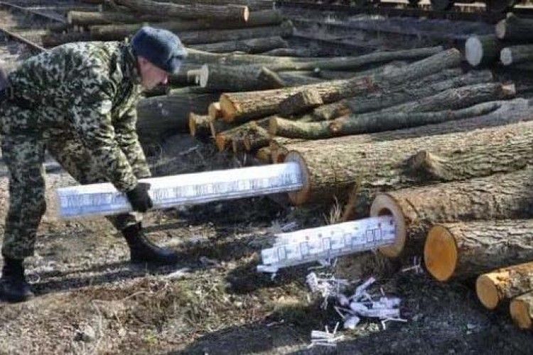 Кого з волинських можновладців треба вигнати з посади за контрабанду