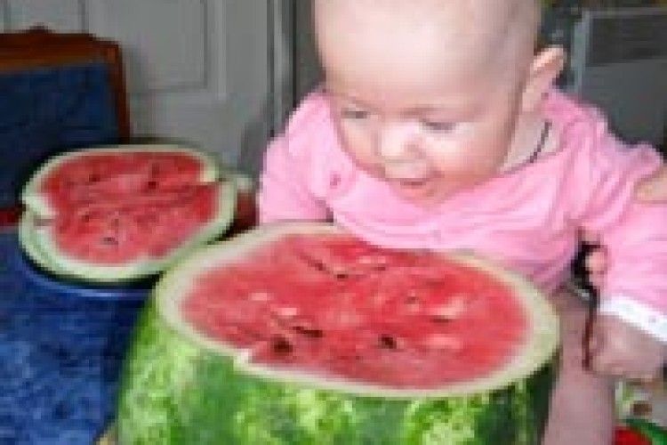 ФОТО НА КОНКУРС: дегустатор