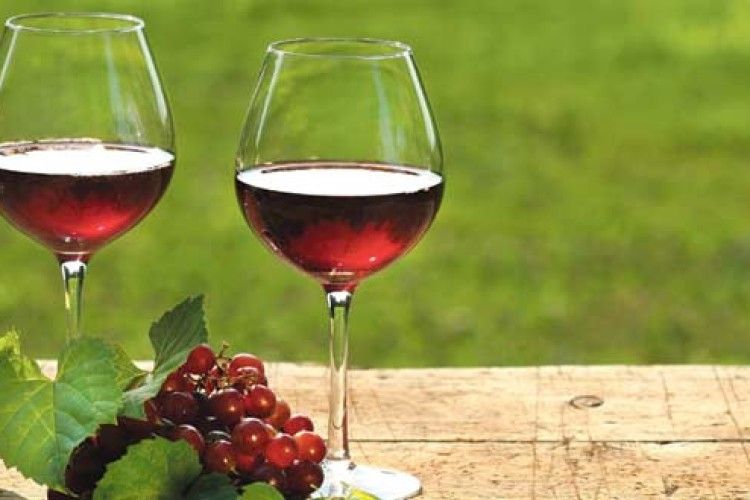 Домашнє вино — смачне і корисне