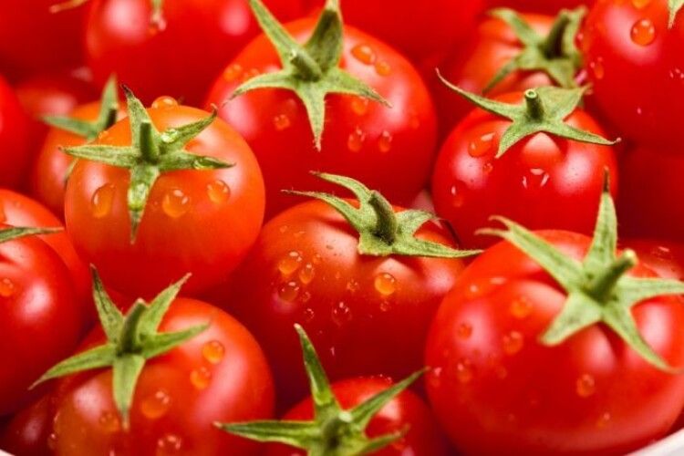 Українські виробники томатів хочуть втричі більших безмитних квот на постачання продукції до ЄС