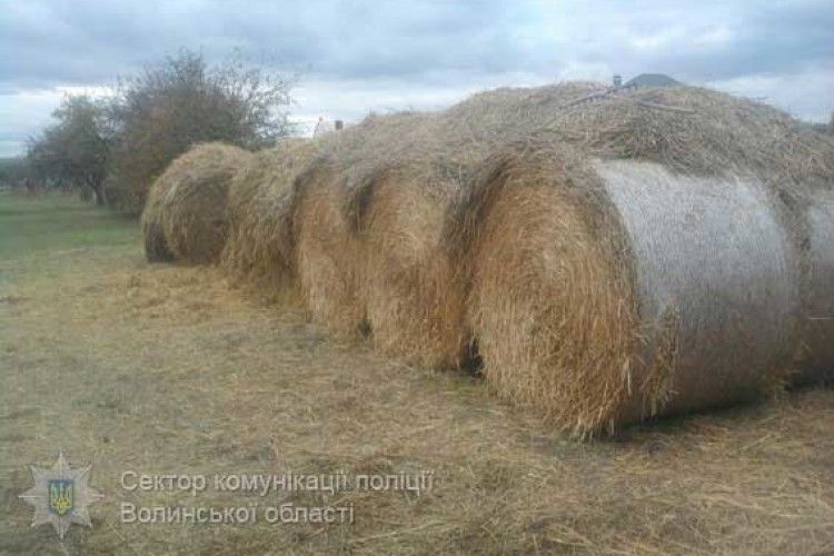 Поблизу Колодяжного скоєно «крадіжку століття»: з поля вкрали солому