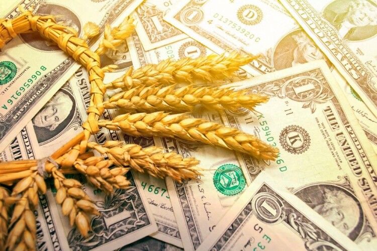 Грошей нема: як фермери будуть розраховуватись з пайовиками