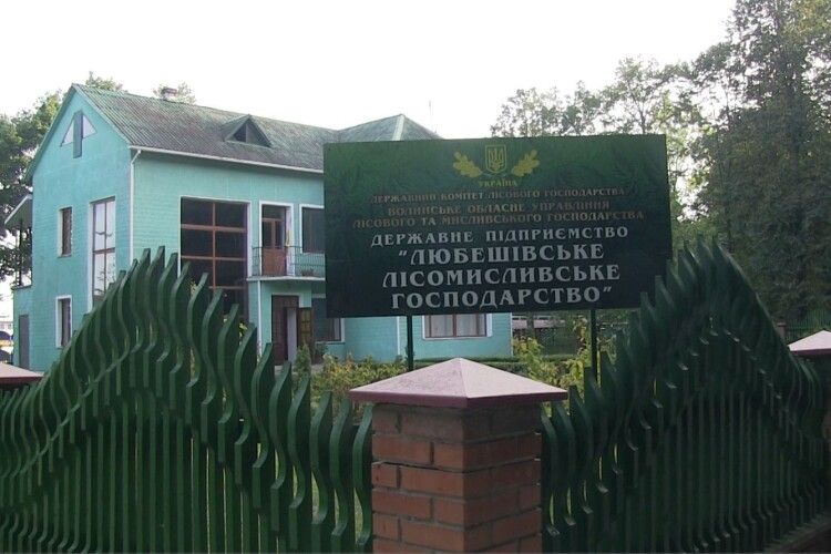 Центр зайнятості Любешівщини: лісова галузь – чи не єдина можливість для мешканців району мати роботу 