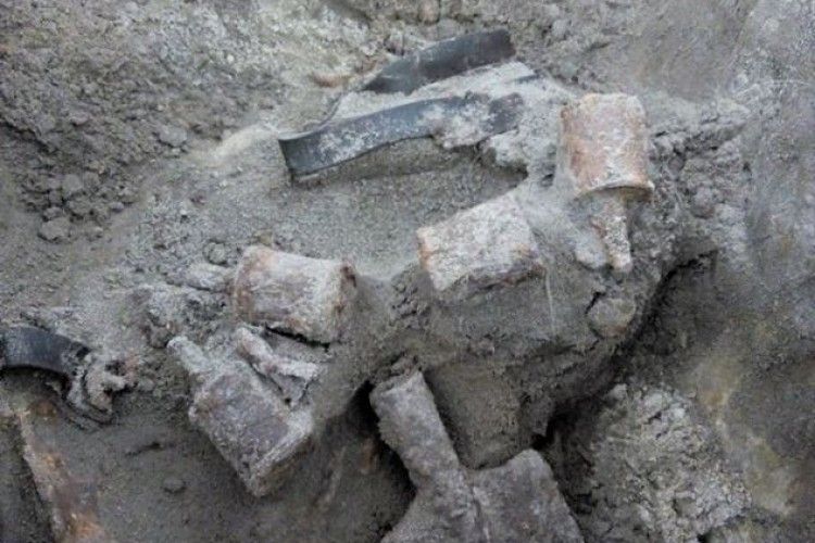 Біля Слов'янська сапери знешкодили близько 600 вибухонебезпечних предметів і виявили останки солдатів Вермахту і СРСР