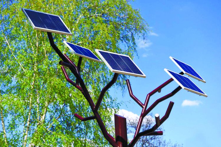 Українські студенти винайшли «сонячне дерево»