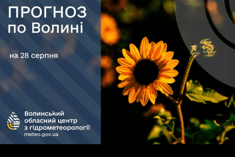 Якою буде погода на Волині до кінця літа