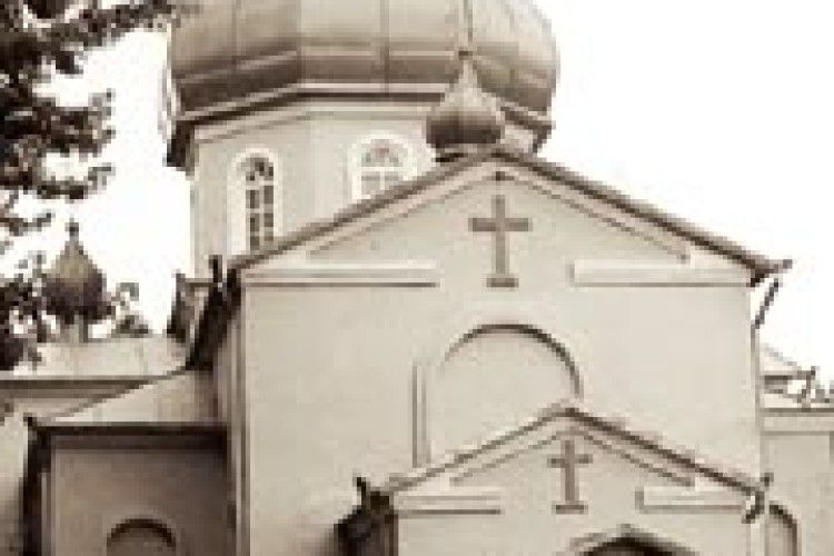 ТРАГЕДІЯ КОРТЕЛІС І СПЕКУЛЯЦІЇ НА НІЙ 