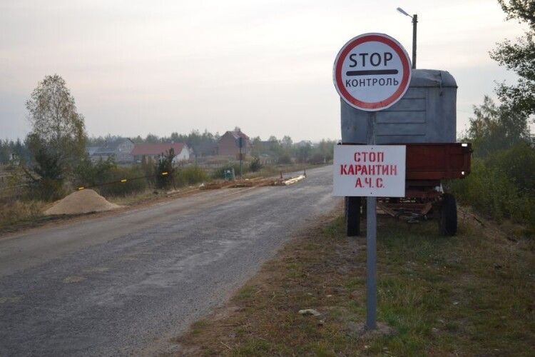 На  Ковельщині —загроза африканської чуми 