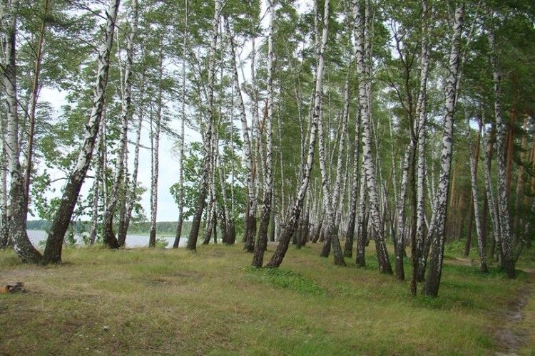 Кличуть відпочивати на волинське озеро, де немає турбаз та генделиків (фото)