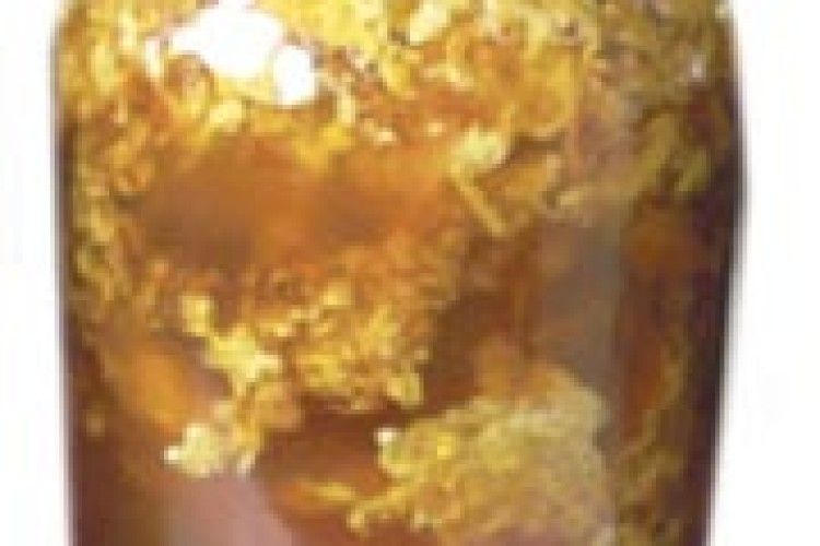 ЗАБРУС ПІДВИЩУЄ ІМУНІТЕТ