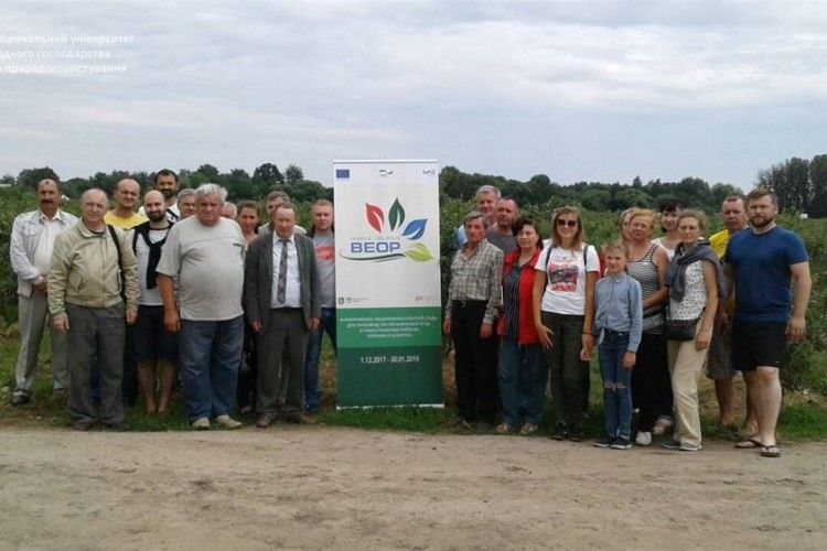 Поліщуки Волині та Білорусі вивчають бізнес з вирощування органічних ягід