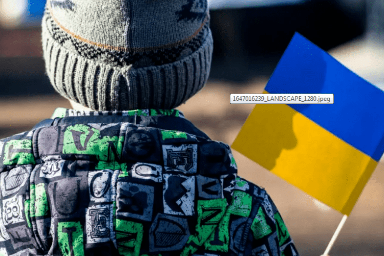 Як в Україні оцінюватимуть учнів, які через війну пропустили заняття або навчалися за кордоном