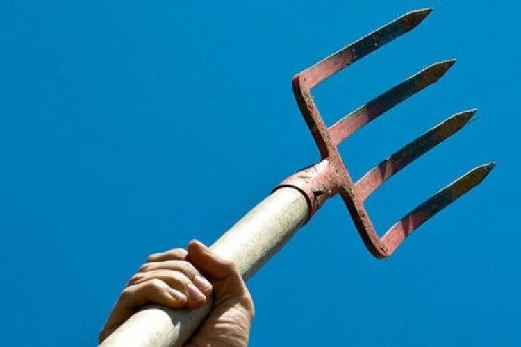 На Рівненщині чоловік жорстоко розправився з безпритульним собакою