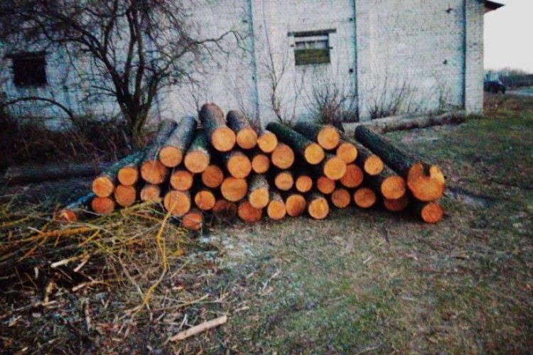 У Ратнівському районі лісова охорона виявила «нічийну» деревину