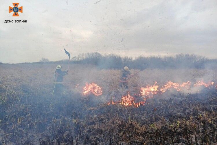 На Волині спалахнула пожежа на території природного парку (Фото)