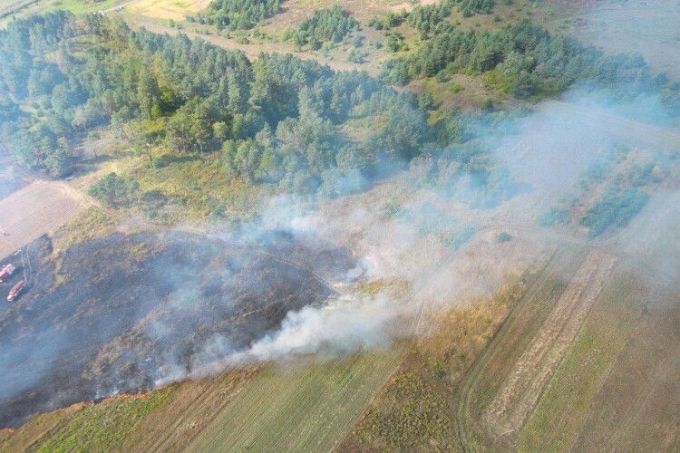 Знайшли палія, через якого в Луцькому районі згоріло майже три гектари сухої трави