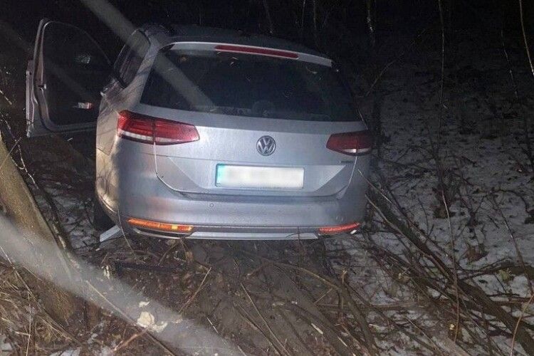 На Волині водійка з’їхала з дороги і влетіла в кущі (Фото)