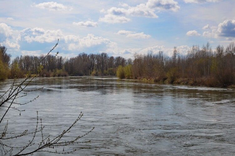 Якою буде погода на Волині в ці дні