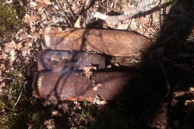 На Маневиччині лісівники виявили снаряди часів Другої світової війни