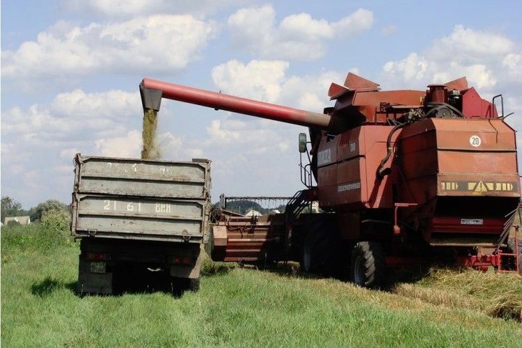 На Ратнівщині намолотили майже 2 тисячі тонн зерна