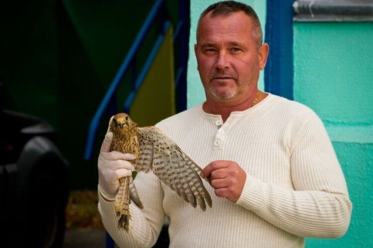 Чорнобильський соколятник став кандидатом наук