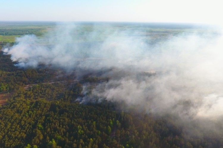 На Рівненщині горіло понад 2 гектари лісу (Відео)