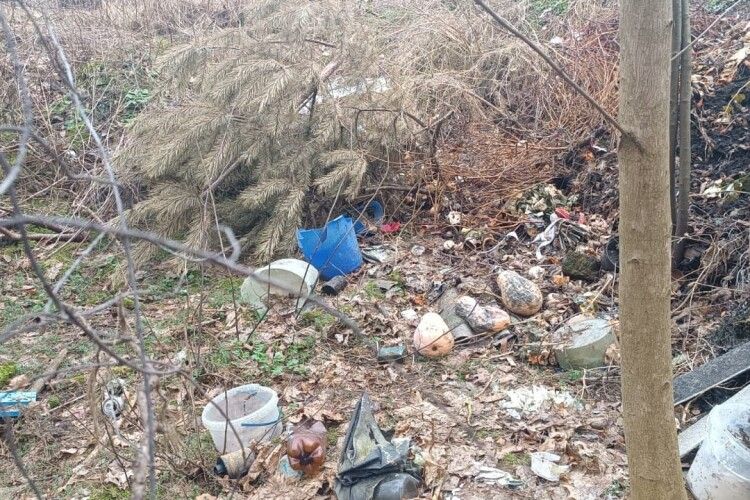 У громаді на Волині місцеві мешканці перетворили ліс на звалище