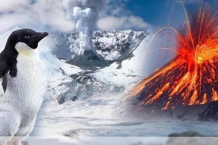 Науковців вжахнула знахідка під кригою Антарктиди