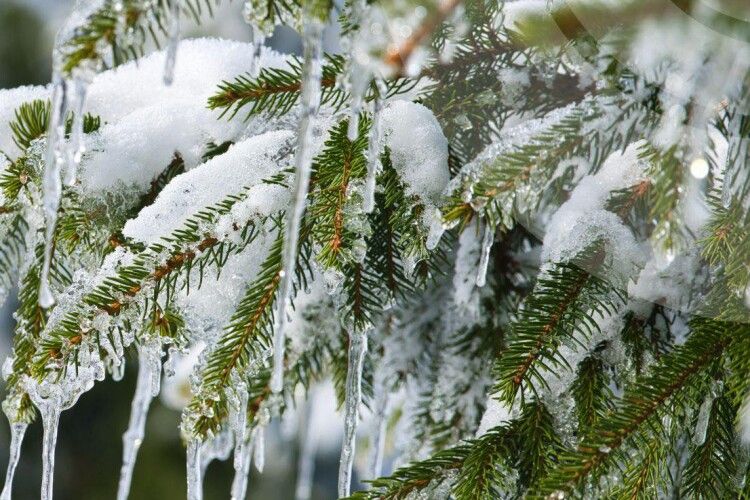 Якою буде погода на Волині