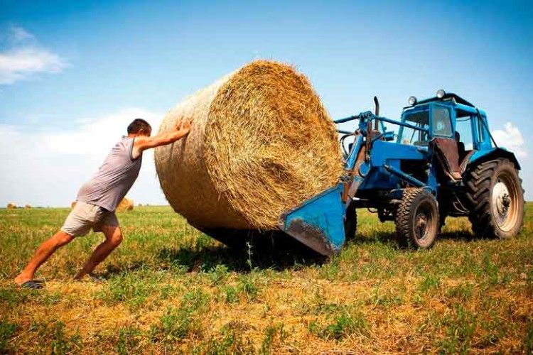 Чому Горохівщині припадає мало грошей на розвиток АПК?