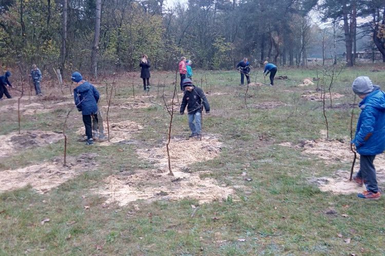 На Волині учні під час уроку біології… посадили яблуневий сад (фото)