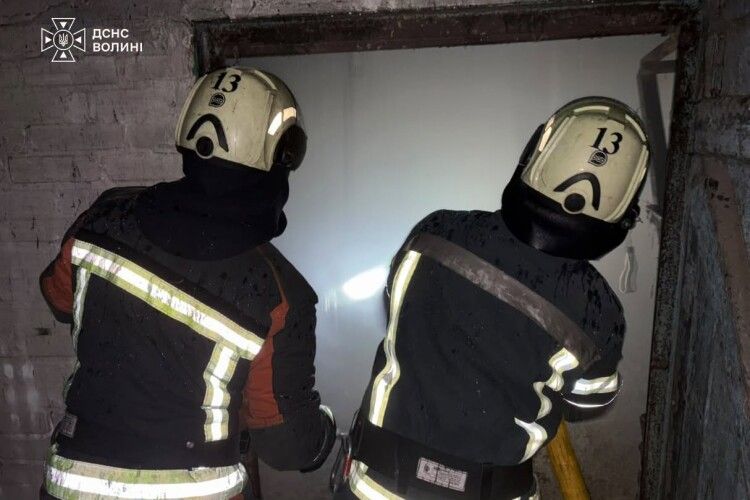 Палав торф та господарські споруди: на Волині за добу ліквідували чотири пожежі