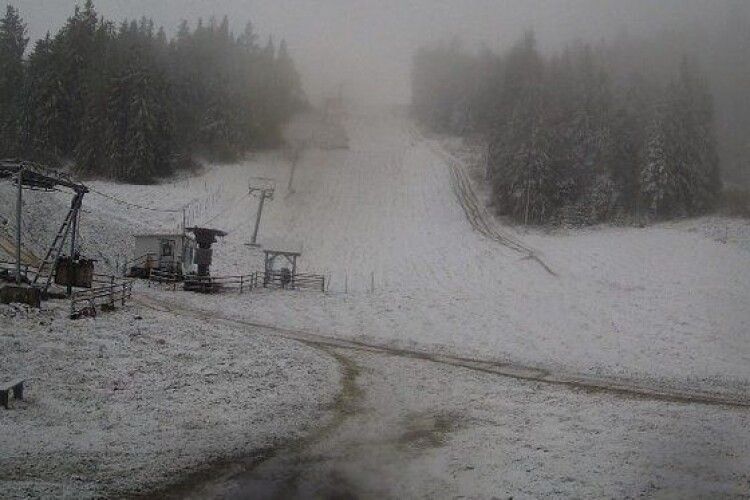 В Україні випав перший сніг (Фото)