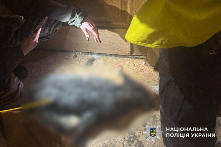 У Києві викрили моторошний «зоопарк» у багатоповерхівці