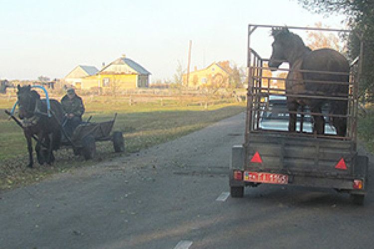 ФОТО НА КОНКУРС: різні долі