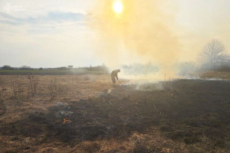 Торф, чагарники та суха трава: на Волині за добу ліквідували 10 пожеж 