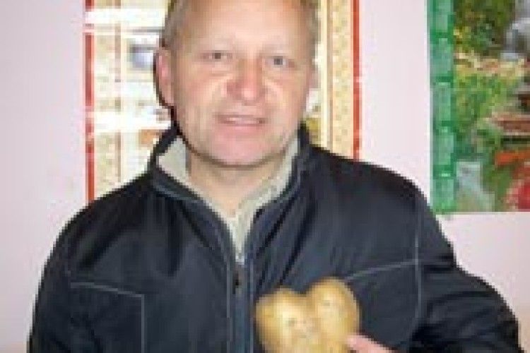 ДИВА ПРИРОДИ: не просто картопля, а «серце» вродило