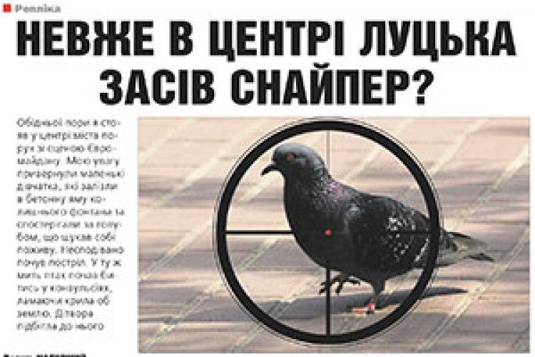 ЛУЦЬКОГО «СНАЙПЕРА» ЗНЕШКОДЖЕНО