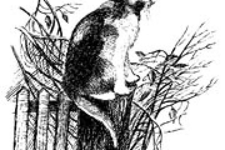 ПОГОДА: зима перемогла весну