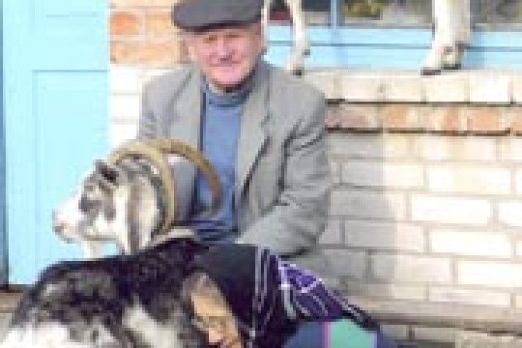 ФОТО НА КОНКУРС: хочеться на п’єдестал!